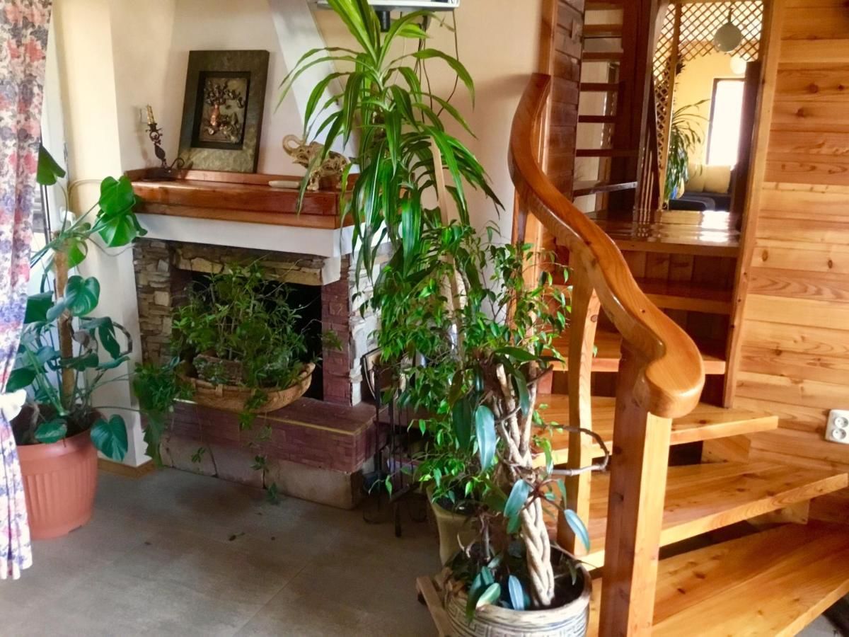 Гостевой дом Sadyba Anastasia Славское-37