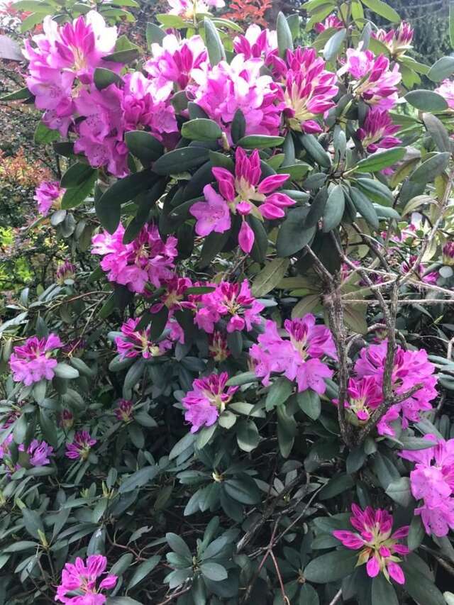 Гостевой дом Sadyba Anastasia Славское-16