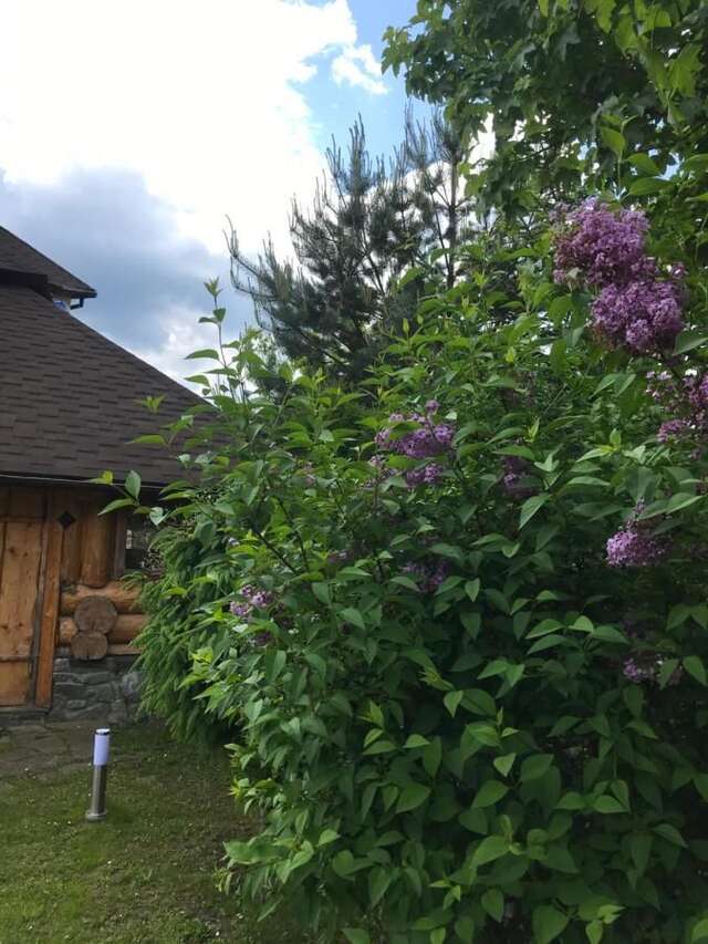 Гостевой дом Sadyba Anastasia Славское-20