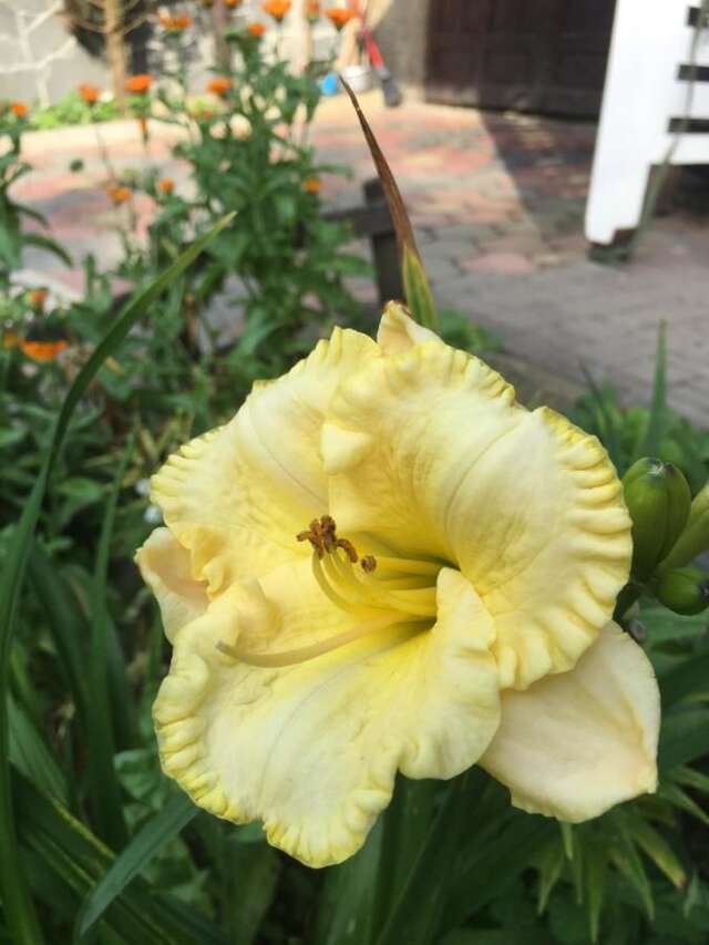 Гостевой дом Sadyba Anastasia Славское-30