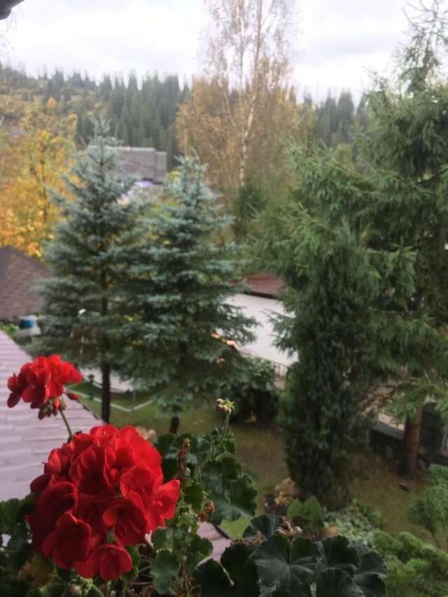 Гостевой дом Sadyba Anastasia Славское-11